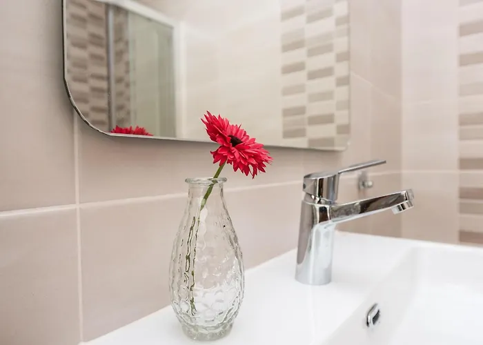 In Croatia Near Adriatic Coast